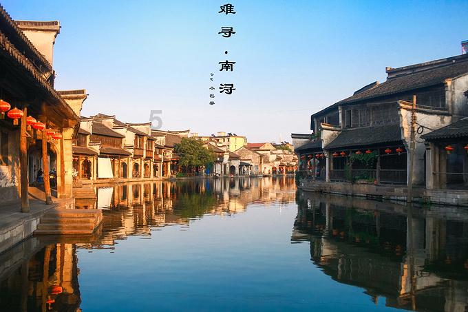 破碎的动物图形